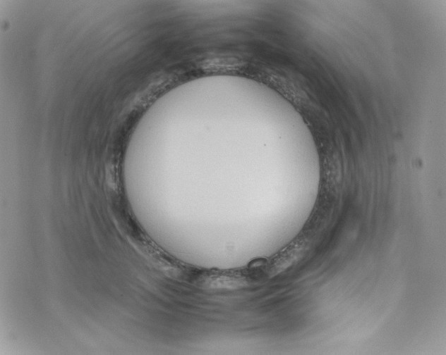 X0000074930755200609291757