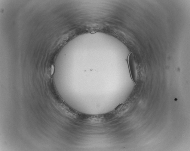 X0000074930756200609291757