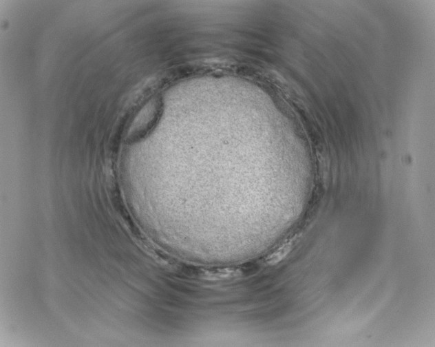 X0000074930757200609291757