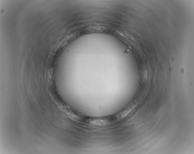 X0000074930759200609291757