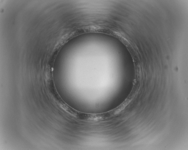 X0000074930760200609291757