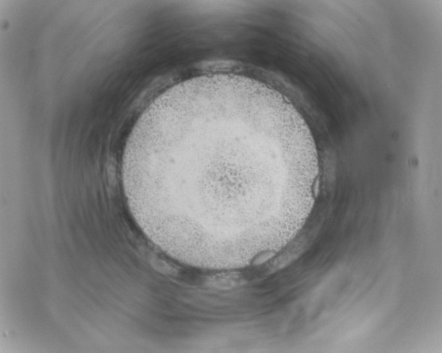 X0000074930761200609291757