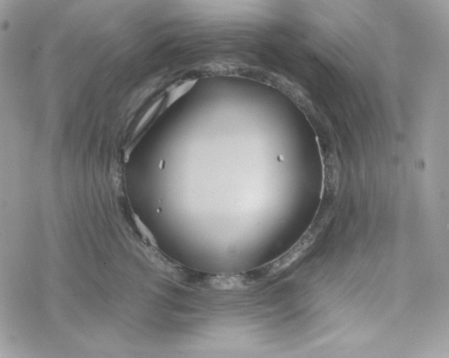 X0000074930762200609291757