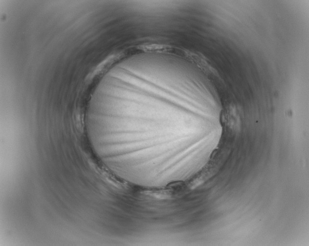 X0000074930763200609291757