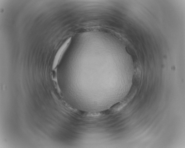 X0000074930767200609291757