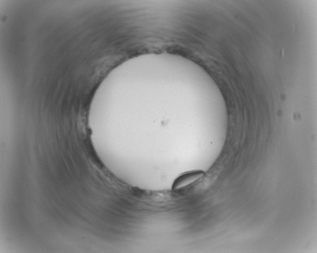 X0000074930768200609291757