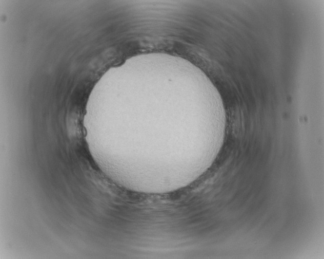 X0000074930770200609291756