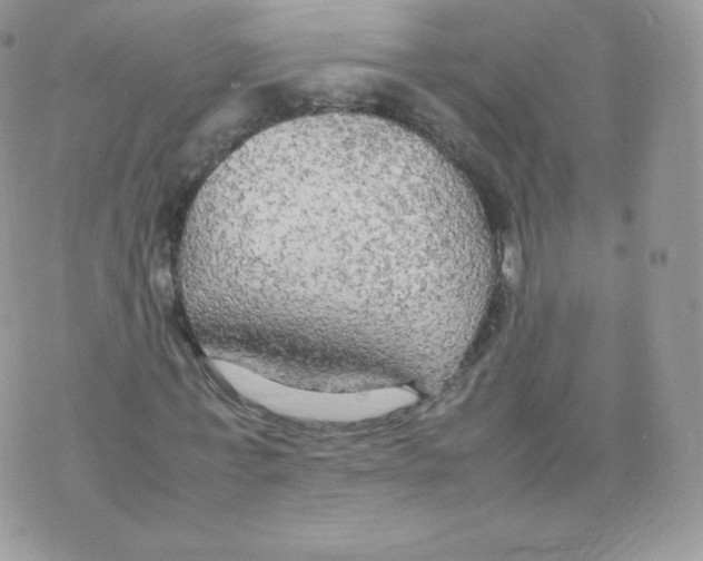 X0000074930771200609291756