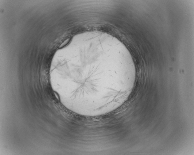 X0000074930772200609291756