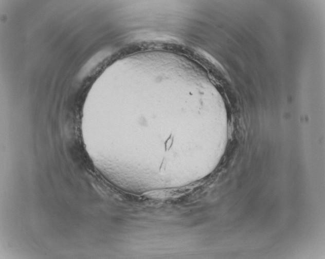 X0000074930775200609291756