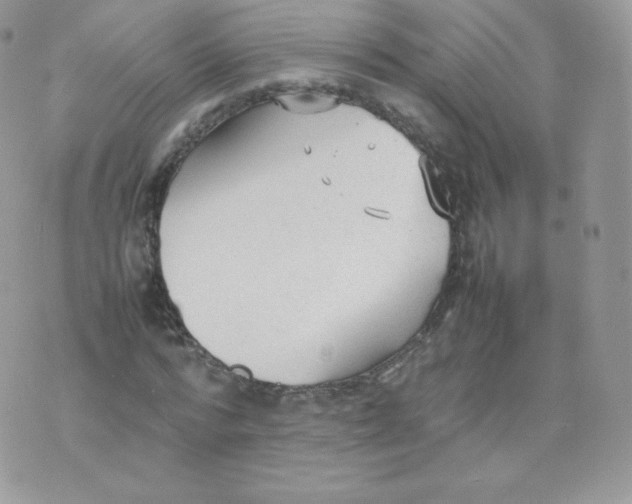 X0000074930776200609291756