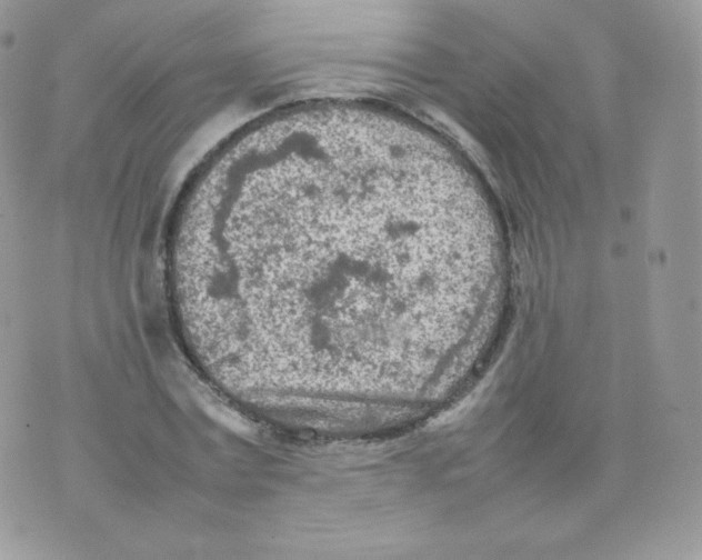 X0000074930779200609291756