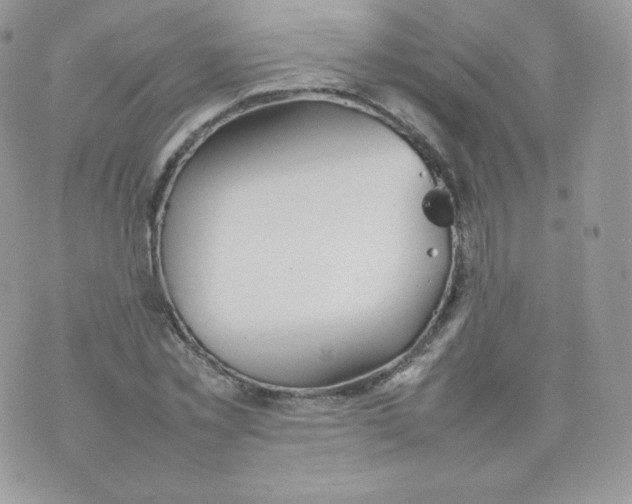 X0000074930781200609291756