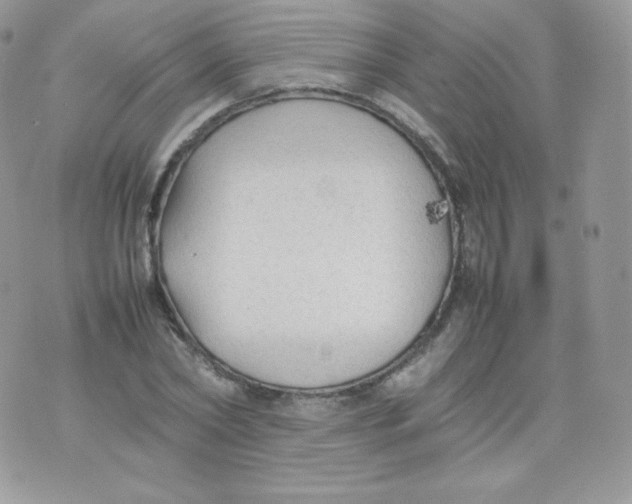 X0000074930782200609291756