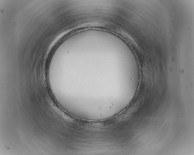 X0000074930784200609291756