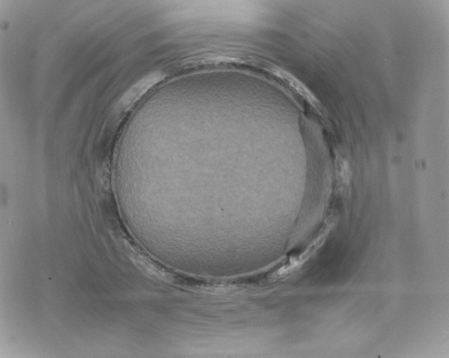 X0000074930785200609291756