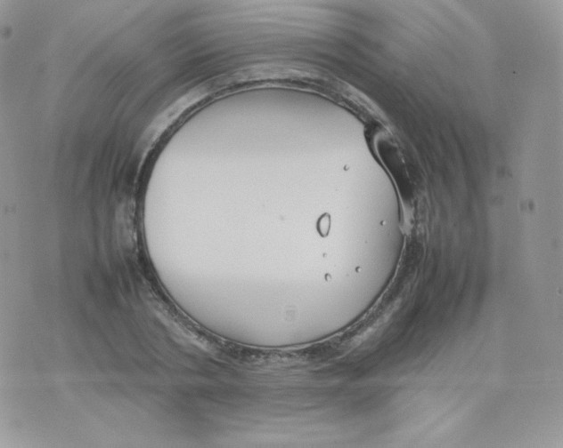 X0000074930786200609291756