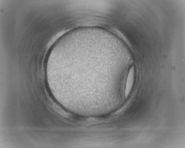 X0000074930787200609291756