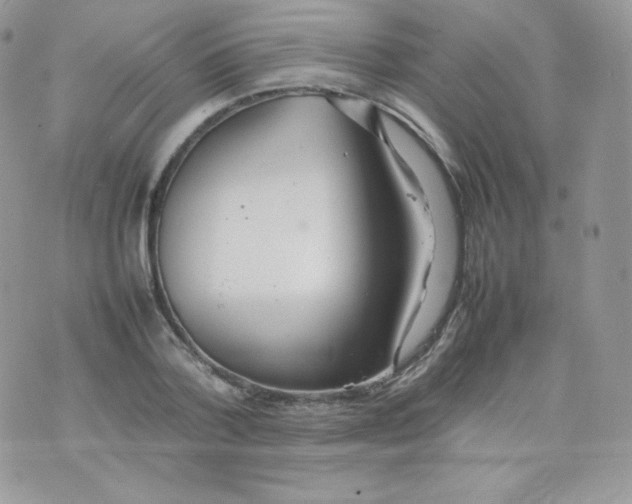 X0000074930788200609291756