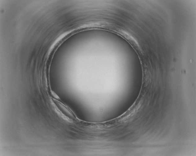 X0000074930792200609291756