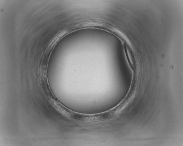 X0000074930793200609291756