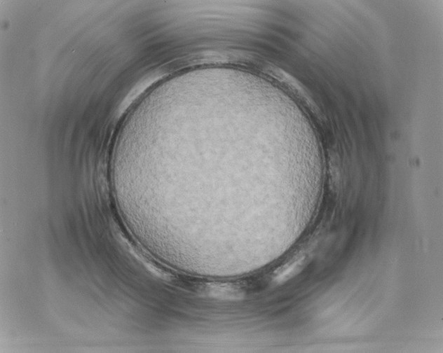 X0000074930794200609291756