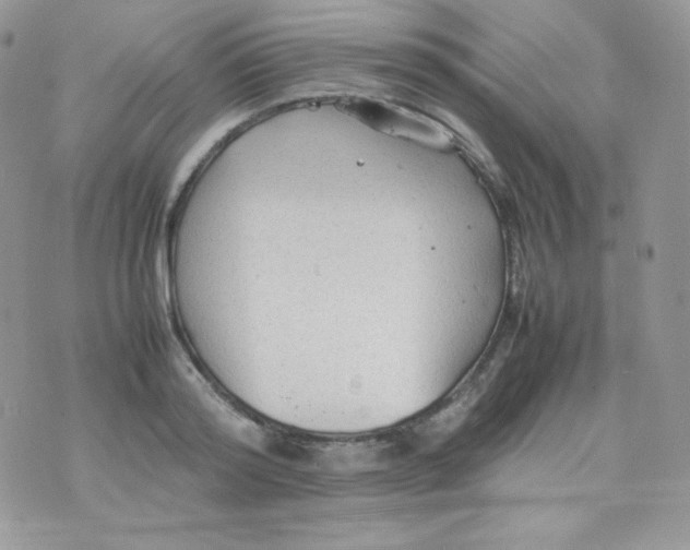 X0000074930796200609291756