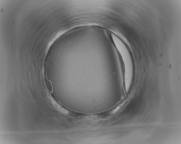 X0000074930797200609291756