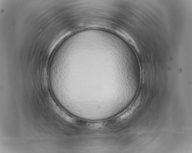 X0000074930798200609291756