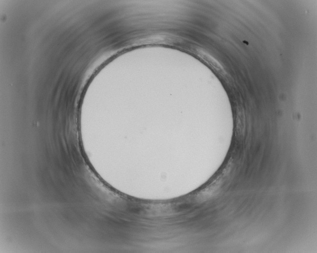 X0000074930800200609291756