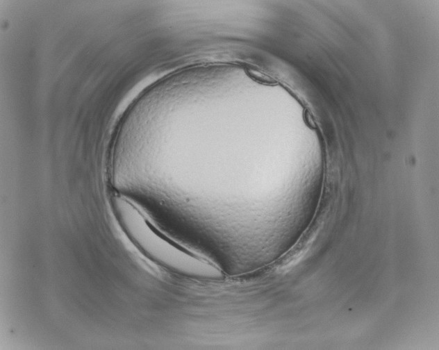 X0000074930803200609291756