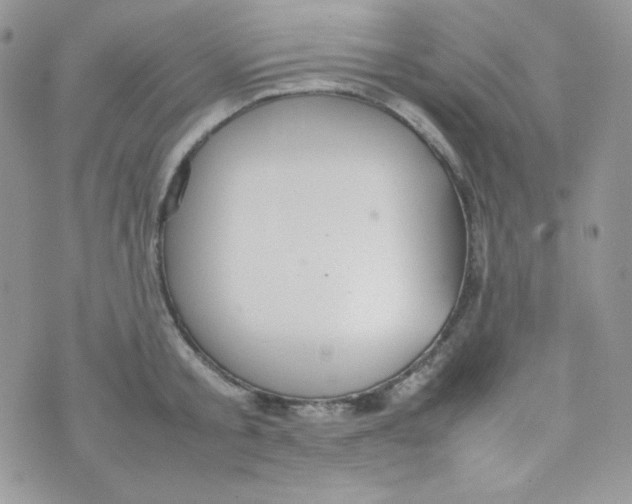 X0000074930805200609291756