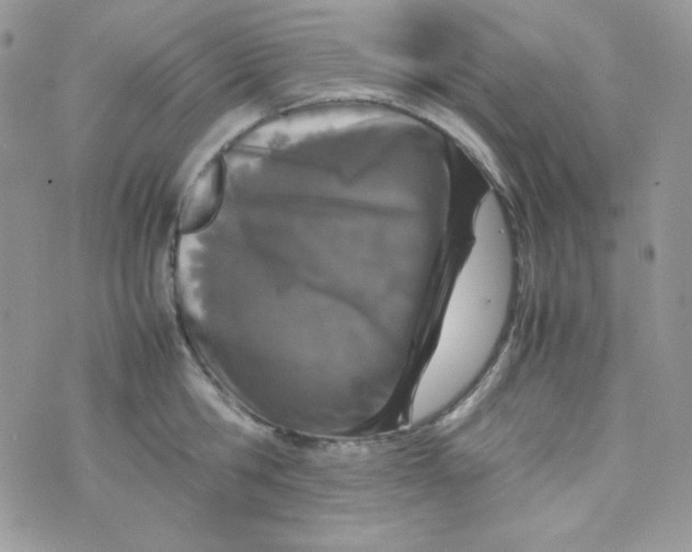 X0000074930806200609291756