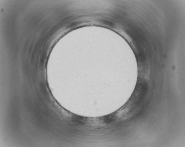 X0000074930807200609291755