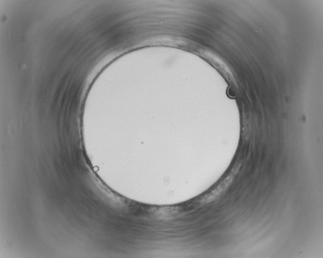 X0000074930808200609291755