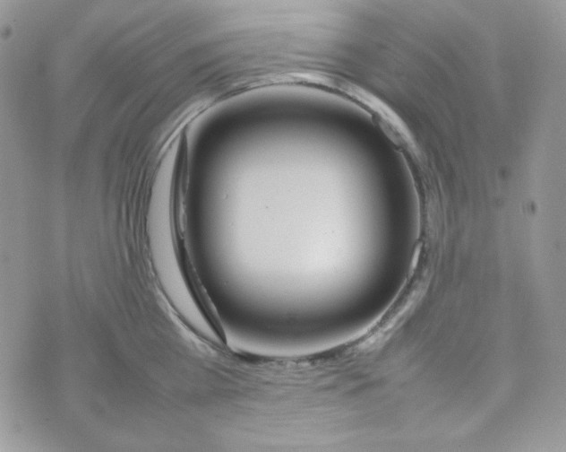 X0000074930809200609291755