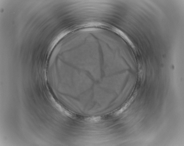 X0000074930810200609291755