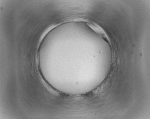 X0000074930811200609291755