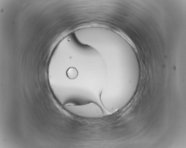 X0000074930813200609291755