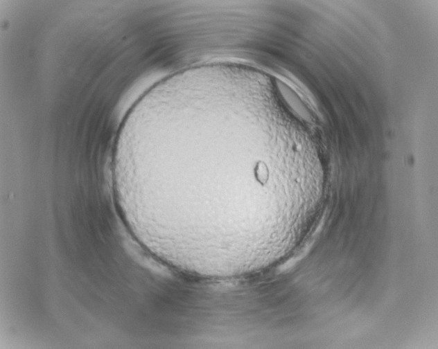 X0000074930814200609291755