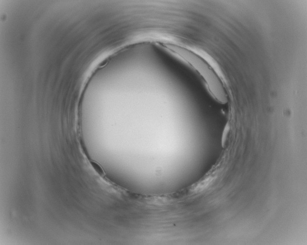 X0000074930815200609291755