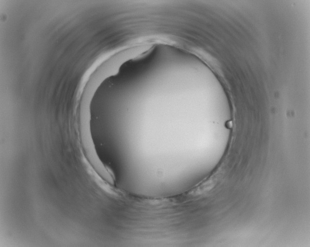 X0000074930816200609291755