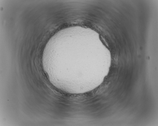 X0000074930817200609291755