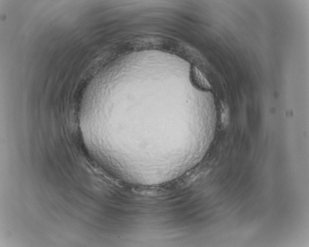 X0000074930819200609291755