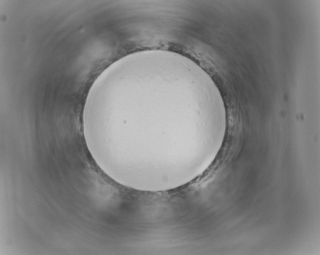 X0000074930820200609291755