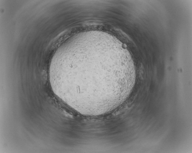 X0000074930821200609291755