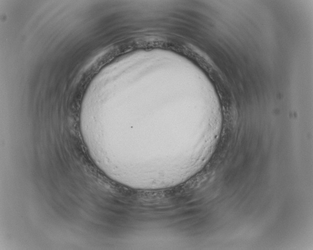 X0000074930823200609291755