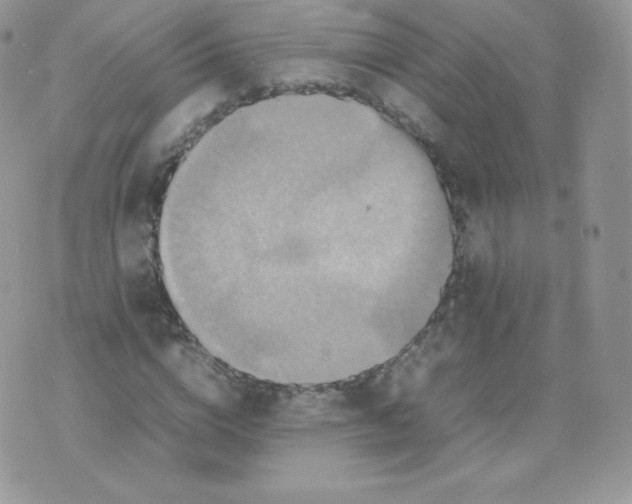 X0000074930824200609291755