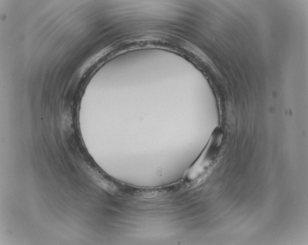 X0000074930826200609291755