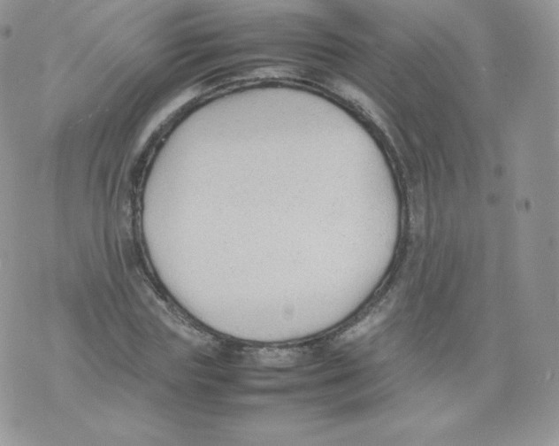 X0000074930827200609291755